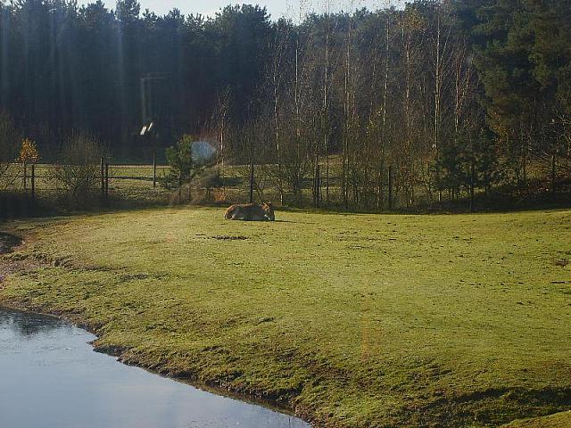 S6000058 800x600