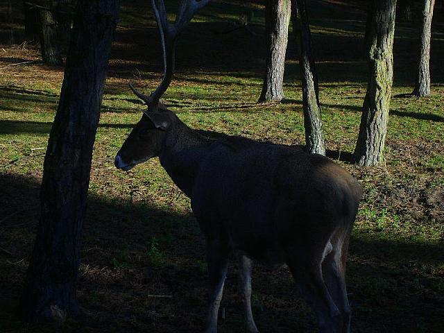 S6000071 800x600