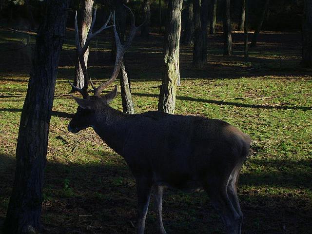 S6000072 800x600
