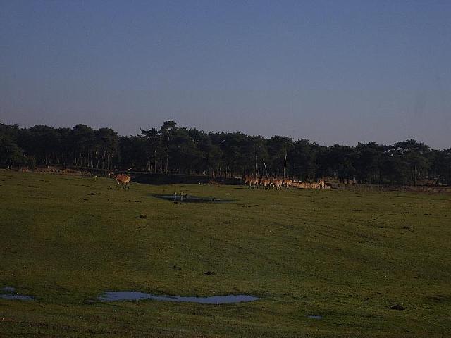 S6000091 800x600