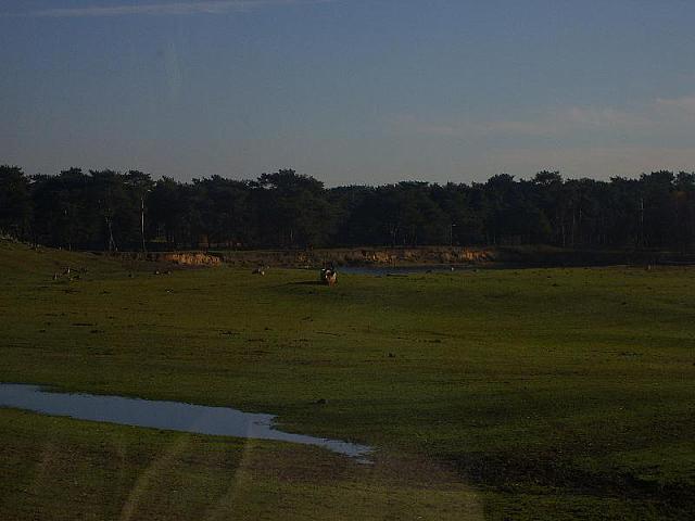 S6000095 800x600