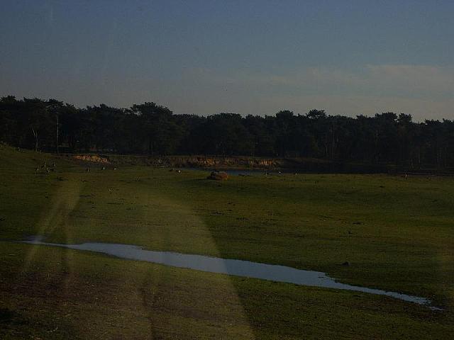 S6000096 800x600