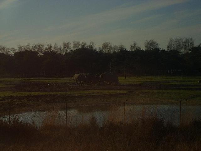 S6000116 800x600