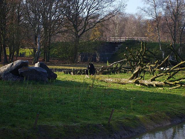 S6000133 800x600