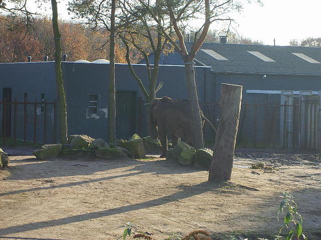 S6000143 800x600
