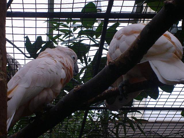 S6000075 800x600