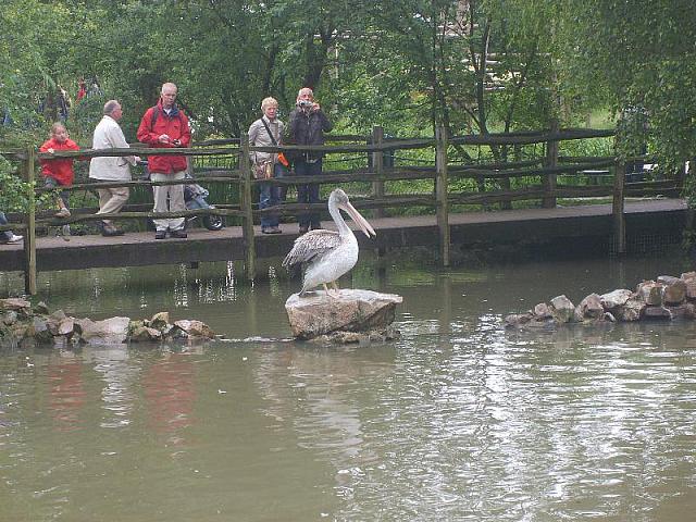 S6000036 800x600