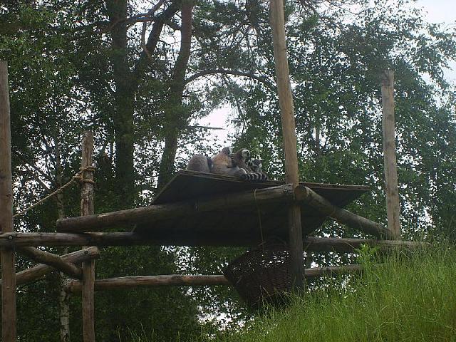 S6000039 800x600