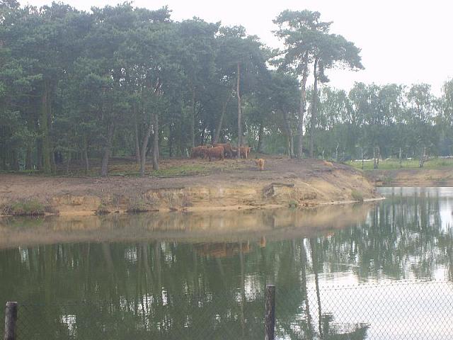 S6000056 800x600