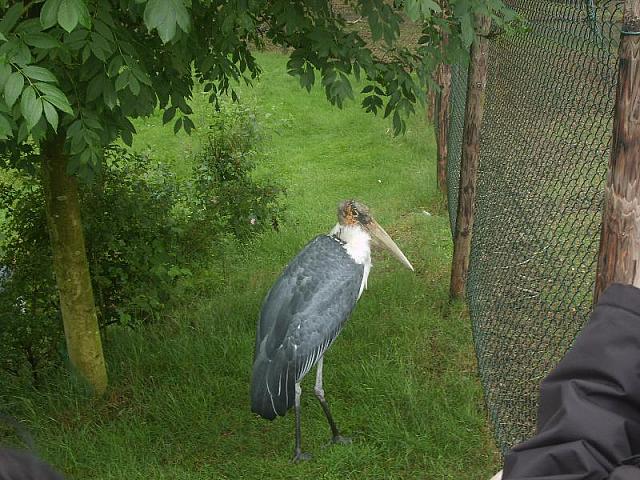S6000058 800x600