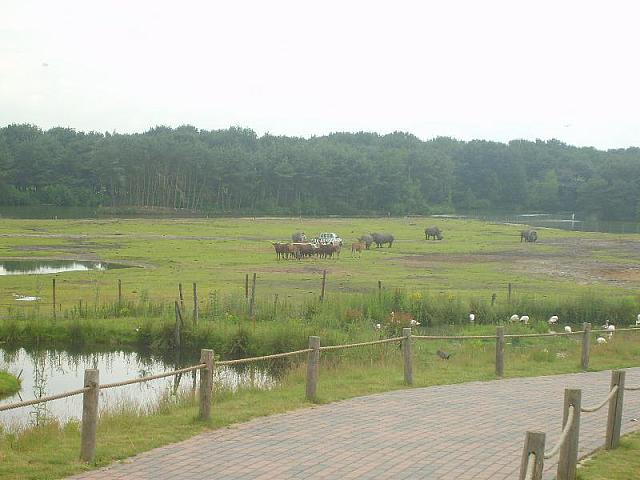 S6000071 800x600