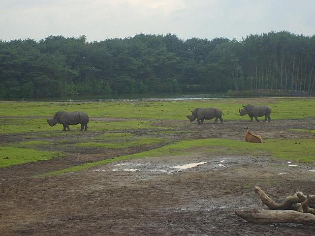 S6000076 800x600