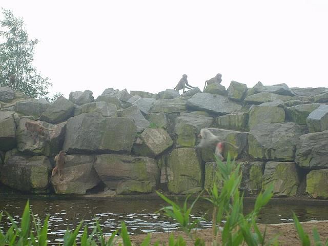 S6000090 800x600