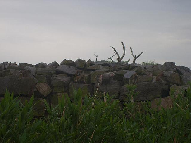 S6000096 800x600
