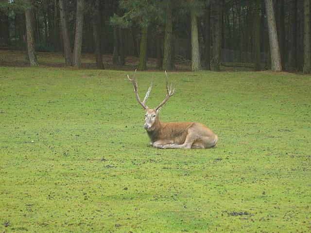 S6000120 800x600
