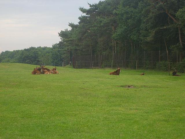 S6000131 800x600