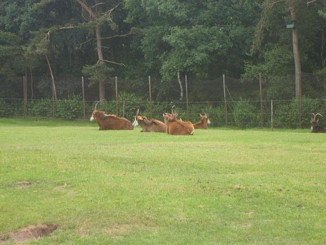 S6000134 800x600
