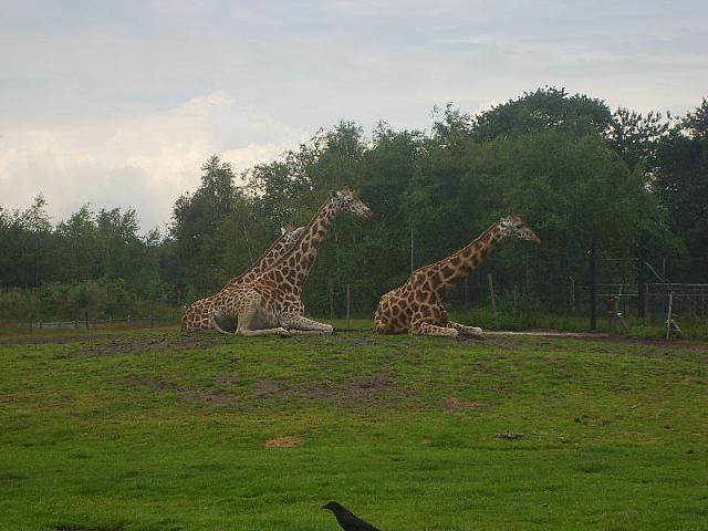 S6000140 800x600