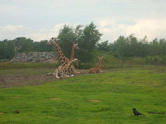 S6000142 800x600