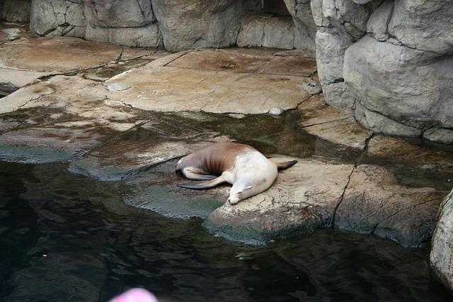 IMG 0006 800x533