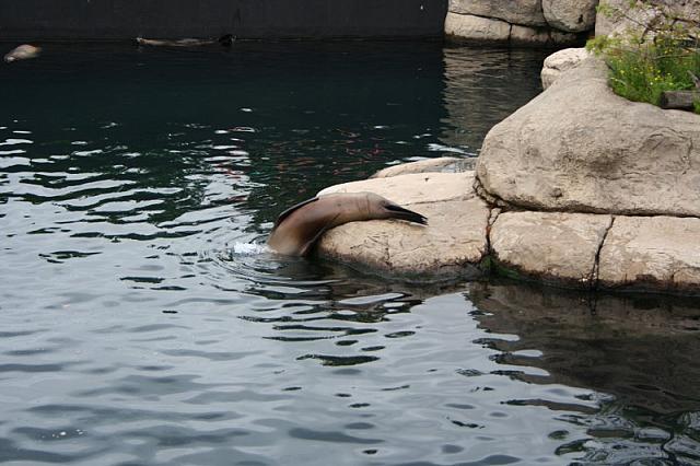 IMG 0008 800x533