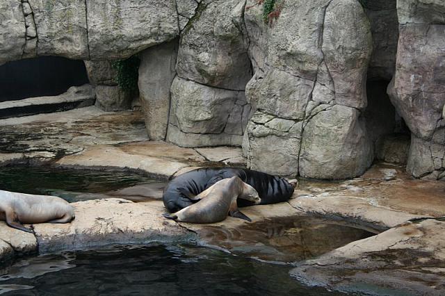 IMG 0011 800x533