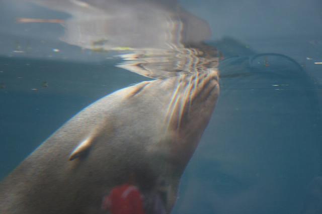 IMG 0014 800x533