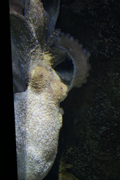 IMG 0036 400x600