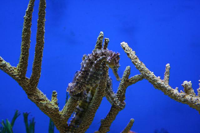 IMG 0050 800x533