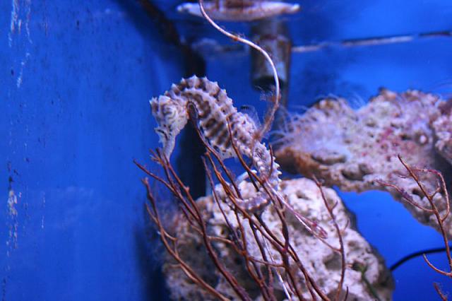 IMG 0053 800x533