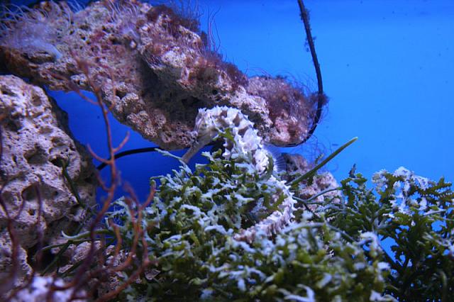 IMG 0054 800x533