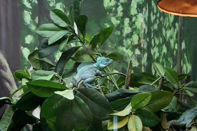 IMG 0083 800x533
