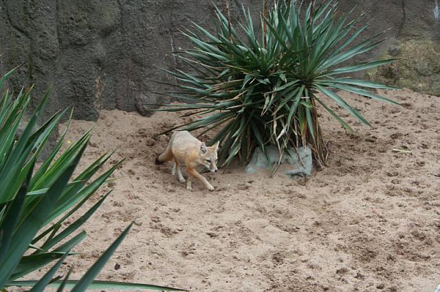 IMG 0100 800x533