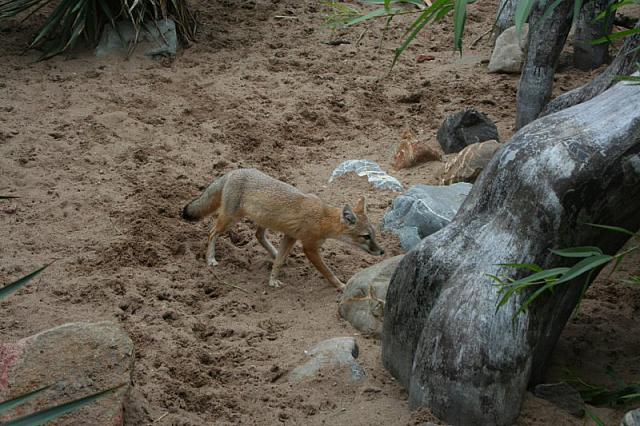 IMG 0104 800x533
