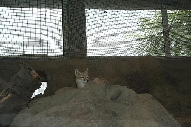 IMG 0132 800x533