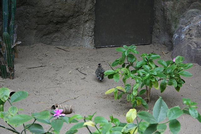 IMG 0139 800x533