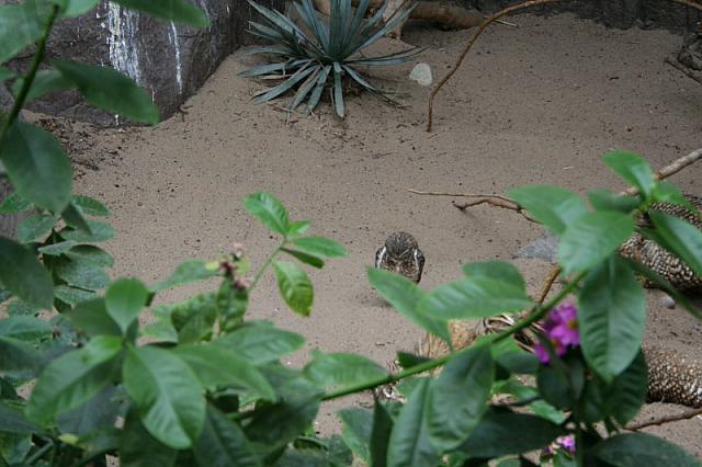 IMG 0142 800x533