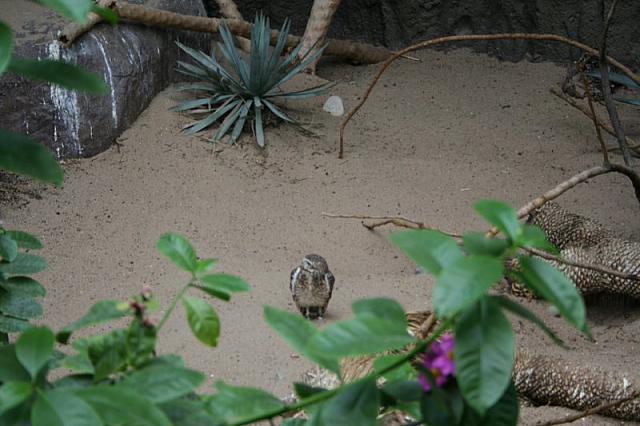 IMG 0147 800x533