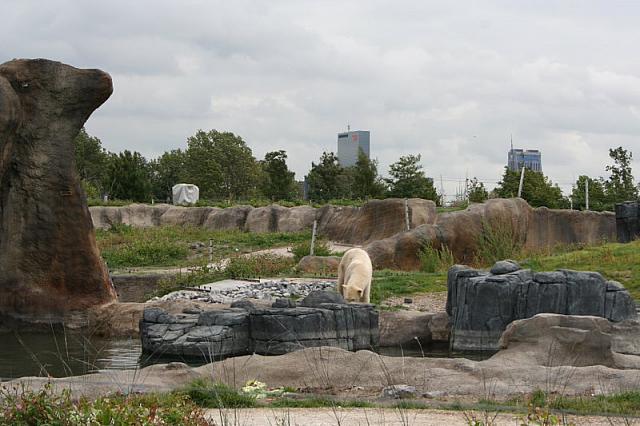 IMG 0190 800x533