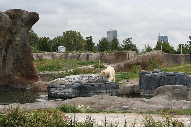 IMG 0191 800x533