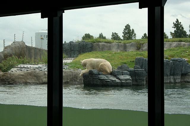 IMG 0200 800x533