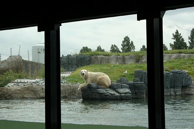 IMG 0201 800x533