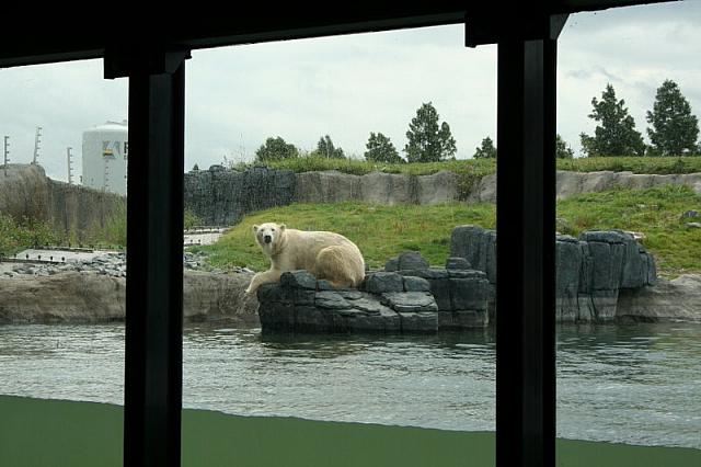 IMG 0202 800x533