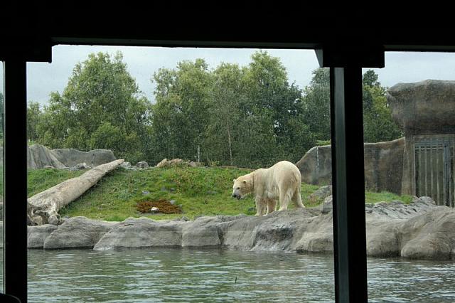 IMG 0203 800x533