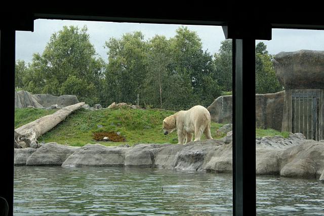IMG 0204 800x533