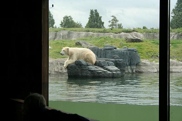 IMG 0206 800x533