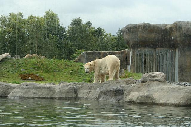 IMG 0209 800x533