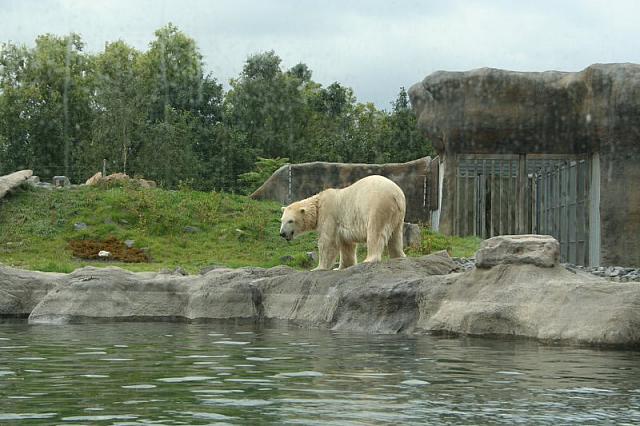 IMG 0210 800x533