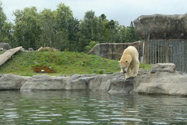 IMG 0218 800x533