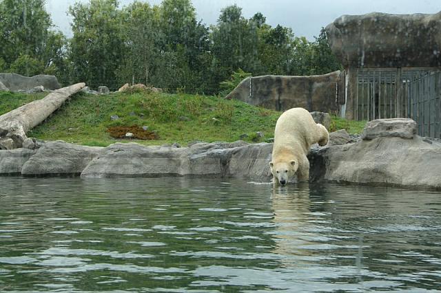 IMG 0222 800x533